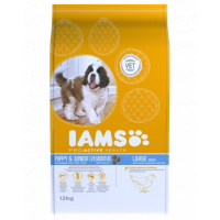 IAMS ProActive Health Puppy &amp; Junior Large Breed cu pui 3 kg
