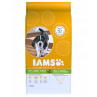 IAMS ProActive Health Puppy &amp; Junior Small &amp; Medium Breed Chicken 3 kg