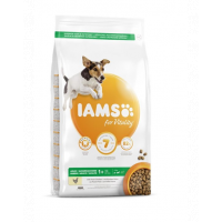IAMS ProActive Health Adult Small &amp; Medium Breed Chicken 3 kg