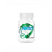 GAME DOG Flora Protect 60 capsule pentru caini