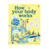 How Your Body Works
