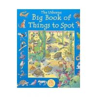Big Book of Things to Spot - Ruth Brocklehurst