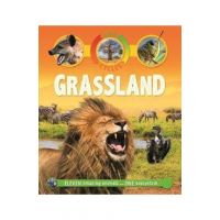 Life Cycles: Grassland