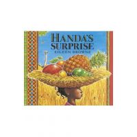Handa's Surprise