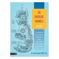 Divergent Channels - Jing Bie