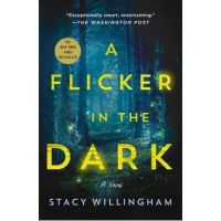 A Flicker in the Dark - Stacy Willingham