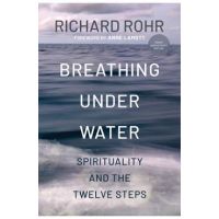Breathing Under Water: Spirituality and the Twelve Steps - Richard Rohr