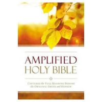 Amplified Outreach Bible, Paperback: Capture the Full Meaning Behind the Original Greek and Hebrew - Zondervan