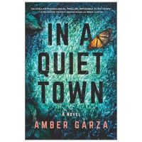 In a Quiet Town - Amber Garza