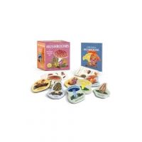 Mushrooms: A Wooden Magnet Set - Meg Madden