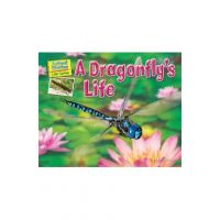 A Dragonfly's Life - Ellen Lawrence