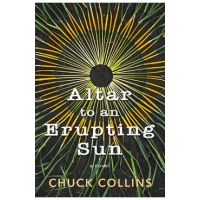 Altar to an Erupting Sun - Chuck Collins