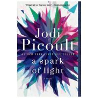 A Spark of Light - Jodi Picoult