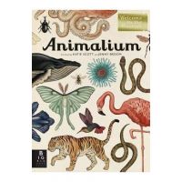 Animalium: Welcome to the Museum - Jenny Broom
