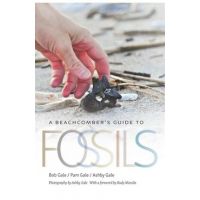 A Beachcomber's Guide to Fossils - Bob Gale