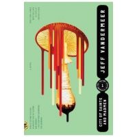 City of Saints and Madmen - Jeff Vandermeer