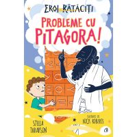 Probleme cu Pitagora | Stella Tarakson