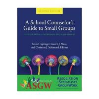 A School Counselor's Guide to Small Groups: Coordination, Leadership, and Assessment - Sarah I. Springer