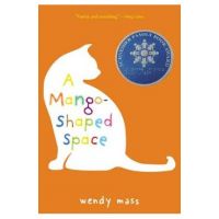 A Mango-Shaped Space - Wendy Mass