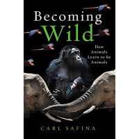 Becoming Wild | Carl Safina