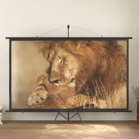 vidaXL Ecran de proiecție 120" 16:9