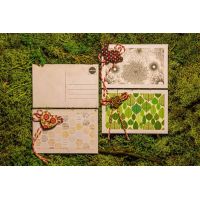 Martisor - Carte postala - Modele diferite | Coloraj