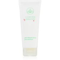 Annayake CleanSkin Gentle Cleansing Gel Gel facial de curatare perfecta pentru curatare
