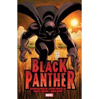 Black Panther: Who Is The Black Panther? | Reginald Hudlin