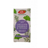 Circulatie cerebrala si memorie N172, 60 capsule, Fares