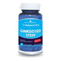Ginkgo 120+ Stem, 60 capsule, Herbagetica