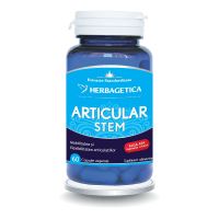 Articular+ Stem, 60 capsule, Herbagetica