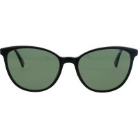 Ocean LS8081 C1