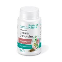 Extract Gheara Diavolului, 30 capsule, Rotta Natura