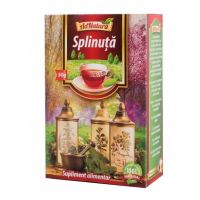 Ceai splinuta, 50g, AdNatura
