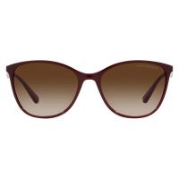 Emporio Armani EA4073 5576/13