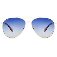 Polar GOLD 301 02/Q