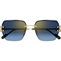 Cartier CT0466S 002