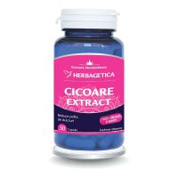 Cicoare Extract, 30 capsule, Herbagetica