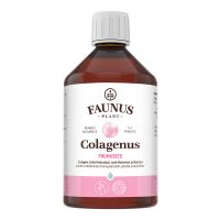 Colagen lichid pentru piele unghii si par Colagenus Frumusete, 500ml, Faunus Plant