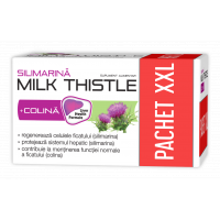 Silimarina Milk Thistle + Colina, 120 capsule, Zdrovit