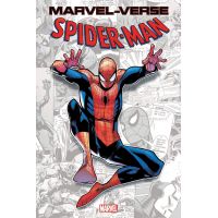 Marvel-Verse: Spider-Man | Paul Jenkins, Stan Lee, Steve Ditko