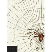 Carnet - Natural History Museum - Spider | Quadrille Publishing