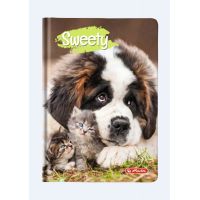 Agenda A6 Nedatata Sweety 352 File Motiv Saint Bernard