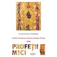 Profetii mici | Ioan Sorin Usca