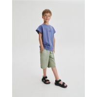 Pantaloni scurti bermude - albastru-verzui