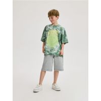 Tricou SmileyWorldŽ - albastru-verzui