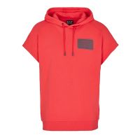 Hanorac EA7 M Hoodie Rn Sl Big 7 Coft