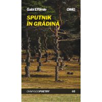 Sputnik in gradina | Gabi Eftimie