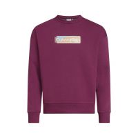 Bluza de trening cu imprimeu logo