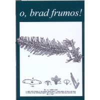 Felicitare - O, brad frumos! | deDrag